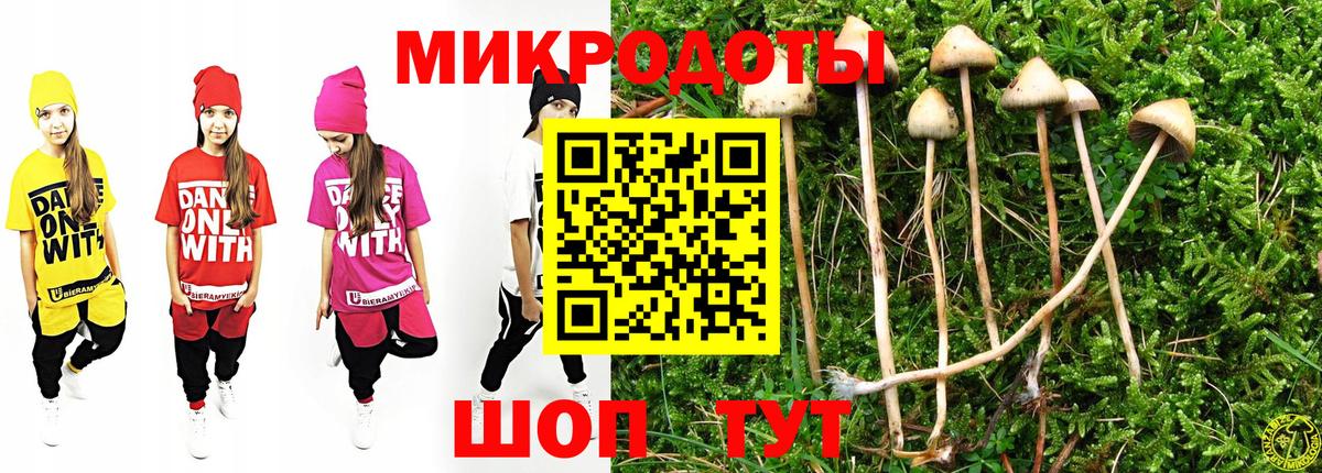 Галлюциногенные грибы Cubensis Людиново