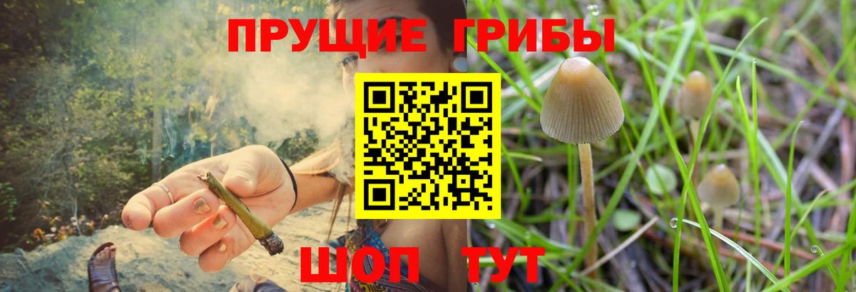 Псилоцибиновые грибы GOLDEN TEACHER  Вход с VPN  Людиново 